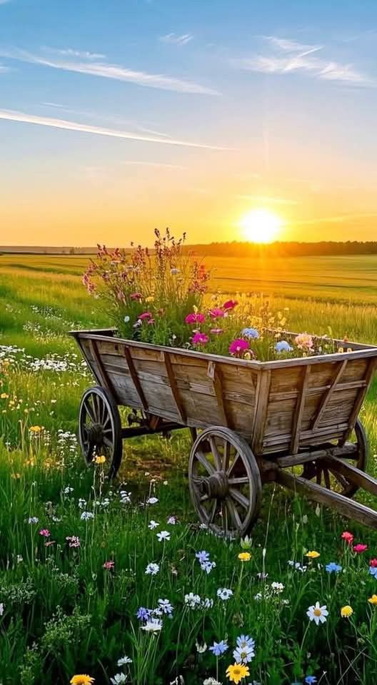 Good Morning 🌄 

Stay Connected ❤️