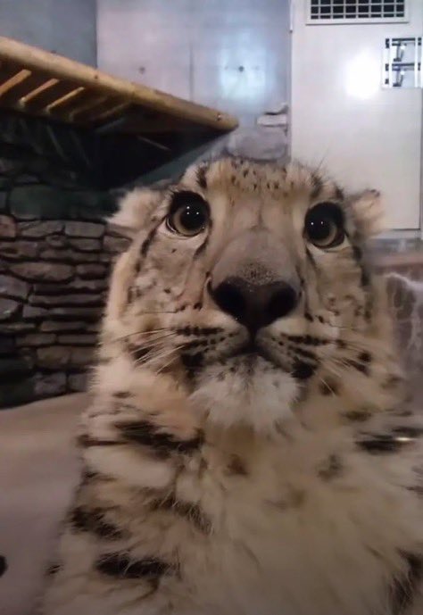 haihellohihihihiiii!!!!!!