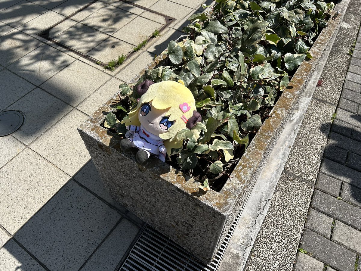 ゆきえる🎪🍑🥟 tweet media