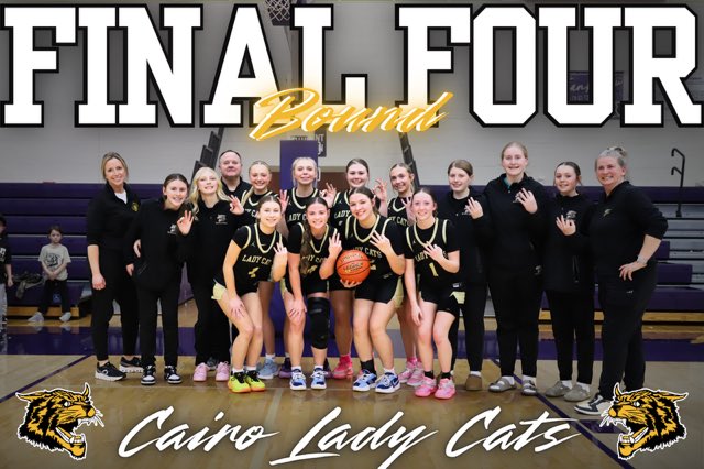 Ladycats Basketball tweet media