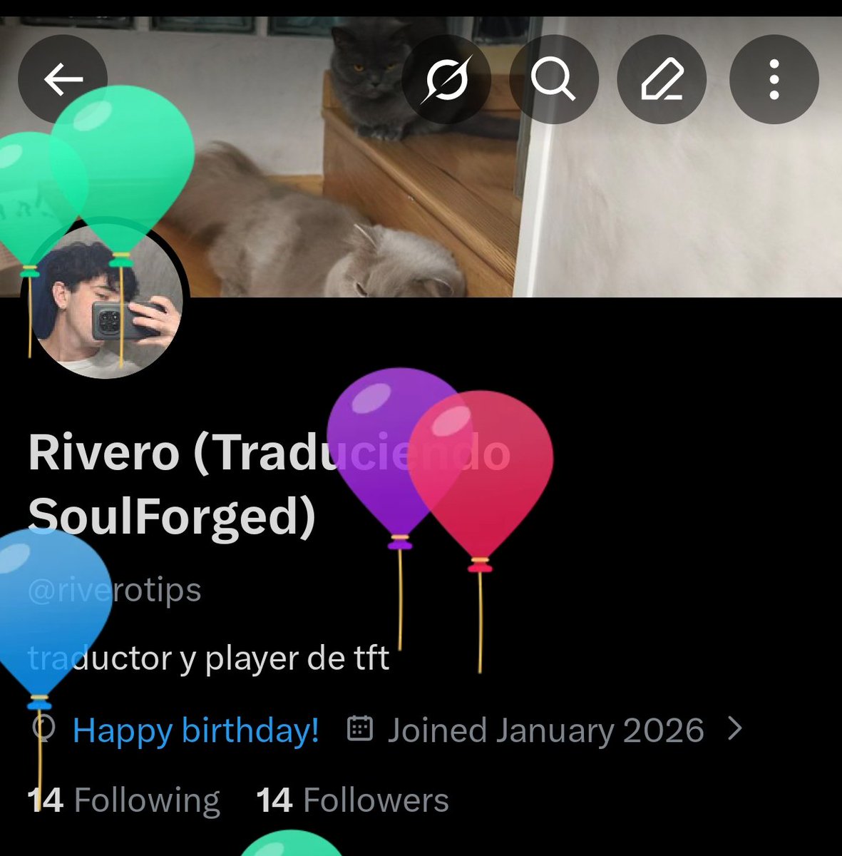 Rivero (Traduciendo SoulForged) tweet media