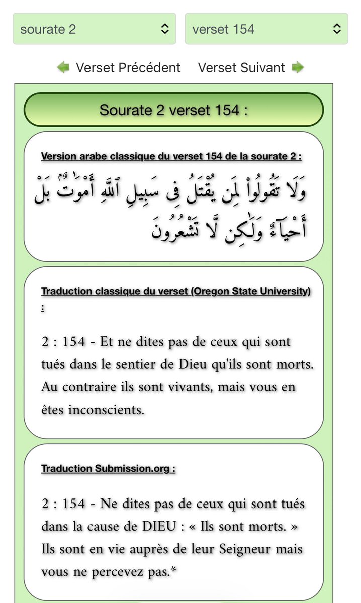 Yasmine tweet media
