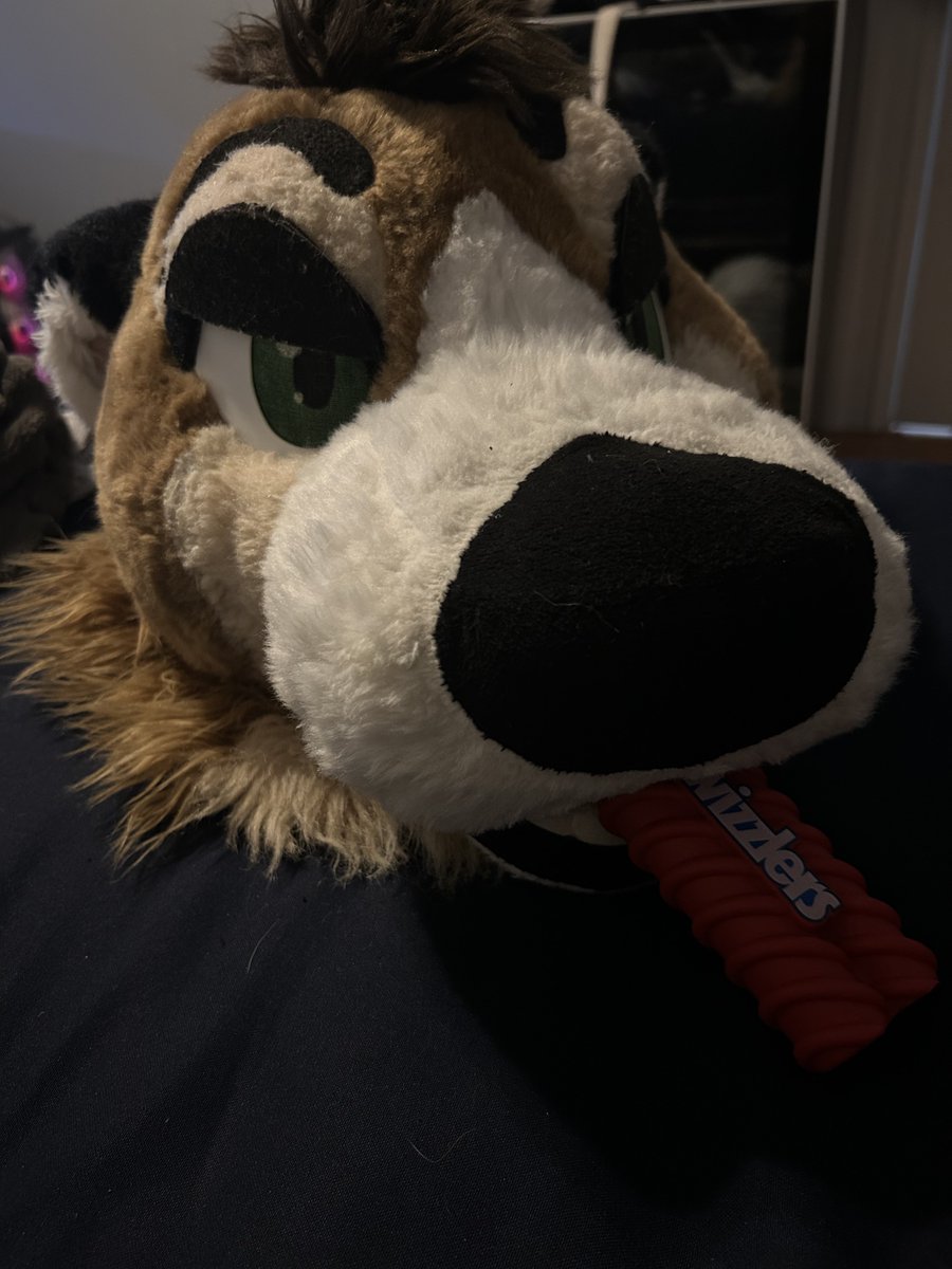 TwizzPup's tweet photo. My first ever partial!!! I am officially Twizz the otter and no one can stop me🦦 https://t.co/EBlyeCukpS