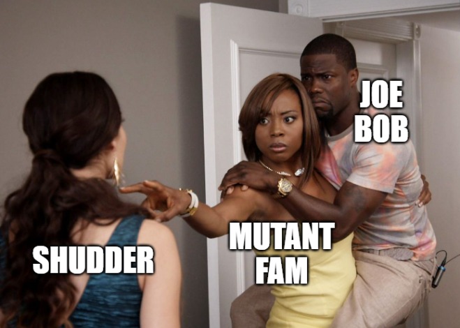 HalloweenYear-Round 🎃 tweet media