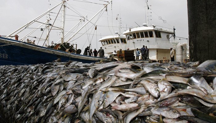 🚨🇺🇲🇨🇳 China’s Global Fishing Armada Is Stripping The Oceans Bare

Beijing’s massive fishing fleet is sweeping across global waters in what analysts call “China’s global fishing offensive.” 

Critics warn illegal fishing, subsidies, and gray-zone tactics are devastating