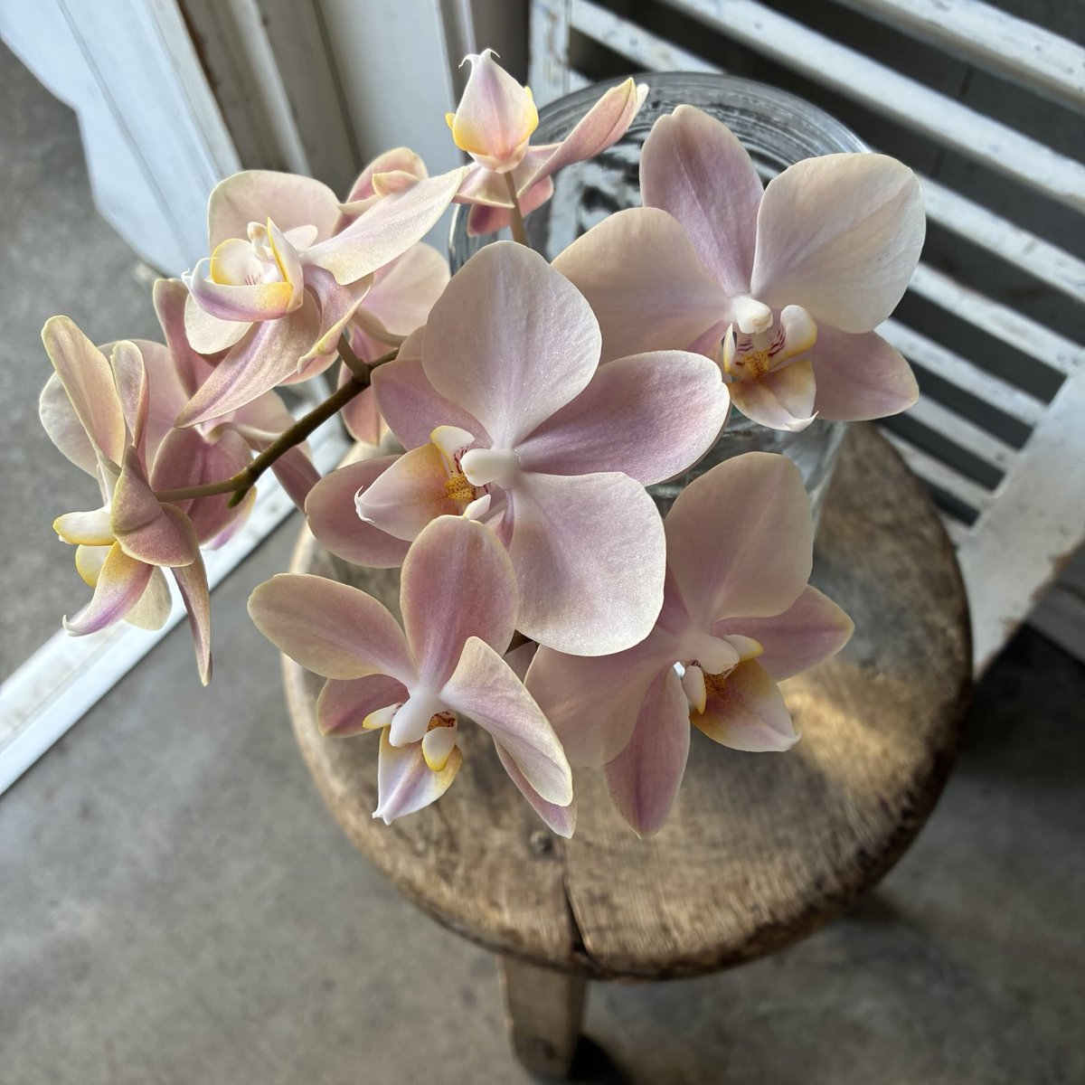 d`ici peu tweet media