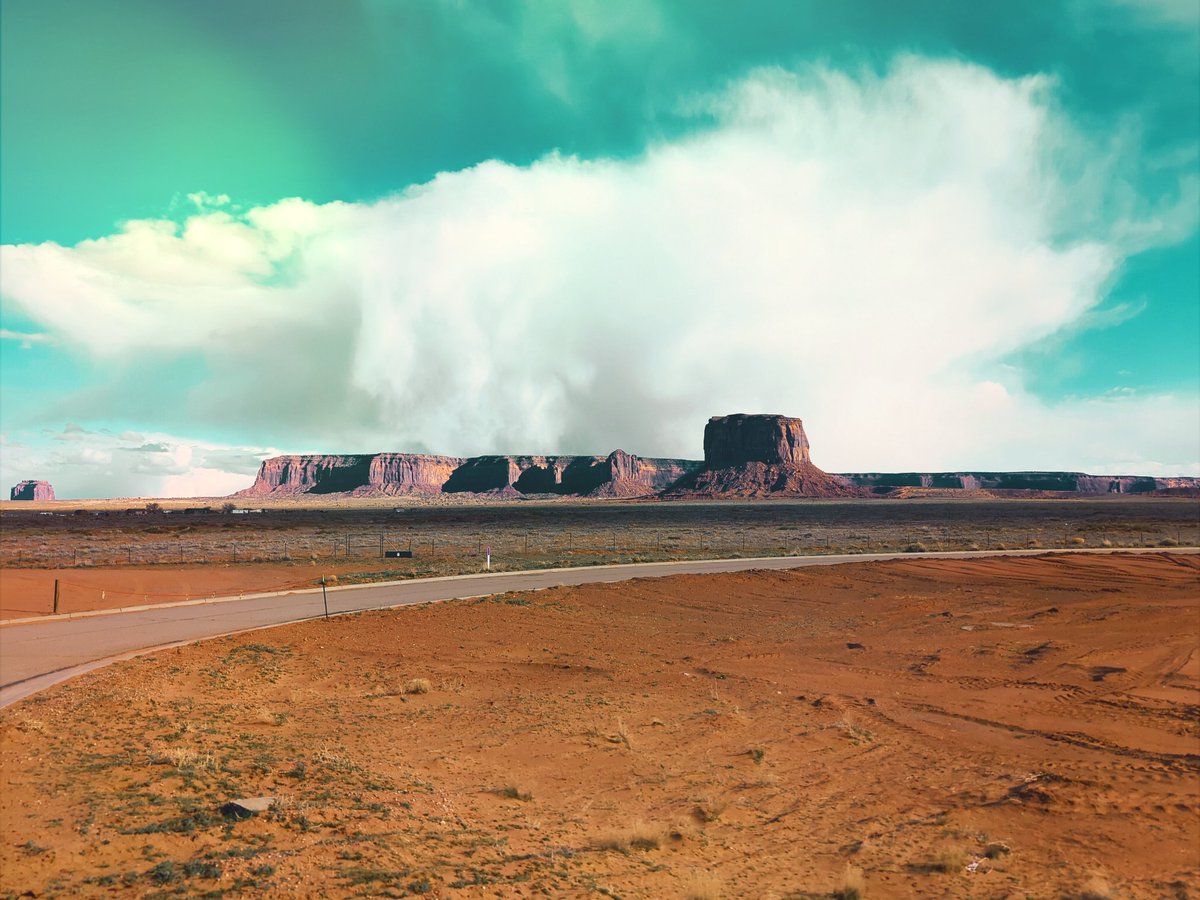 dredmød tweet media