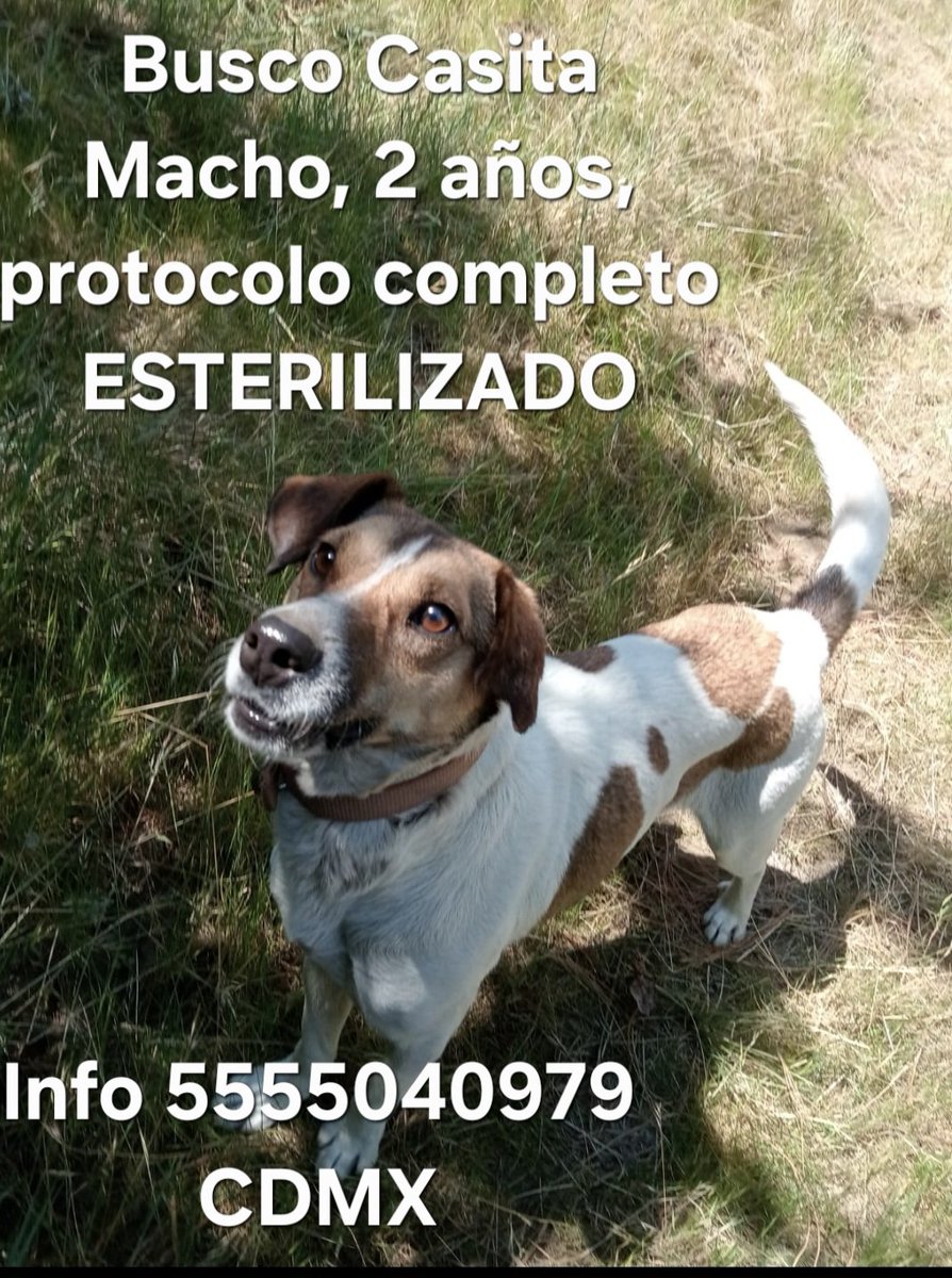 Josefina Martín tweet media