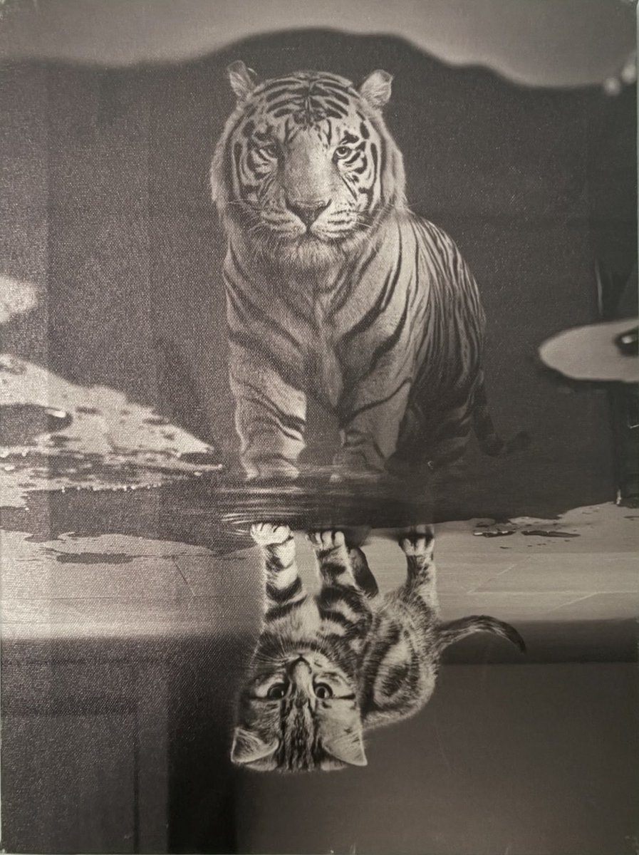 RARE SCRILLA tweet media