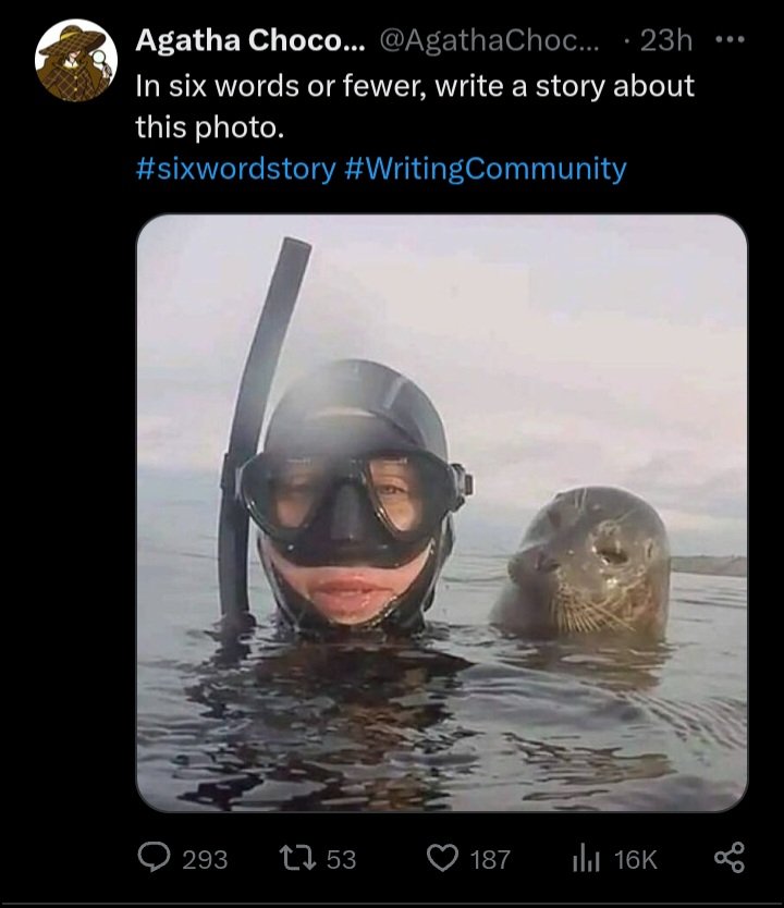 DANIEL DVDS tweet media