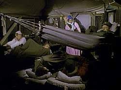 Dave Beeth-oven tweet media