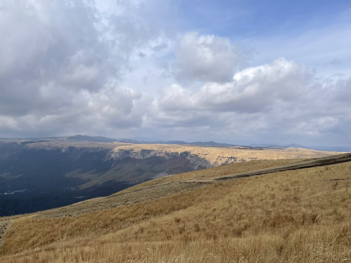 Alzervolice tweet media