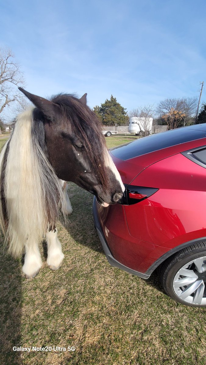 Gypsy Rose tweet media