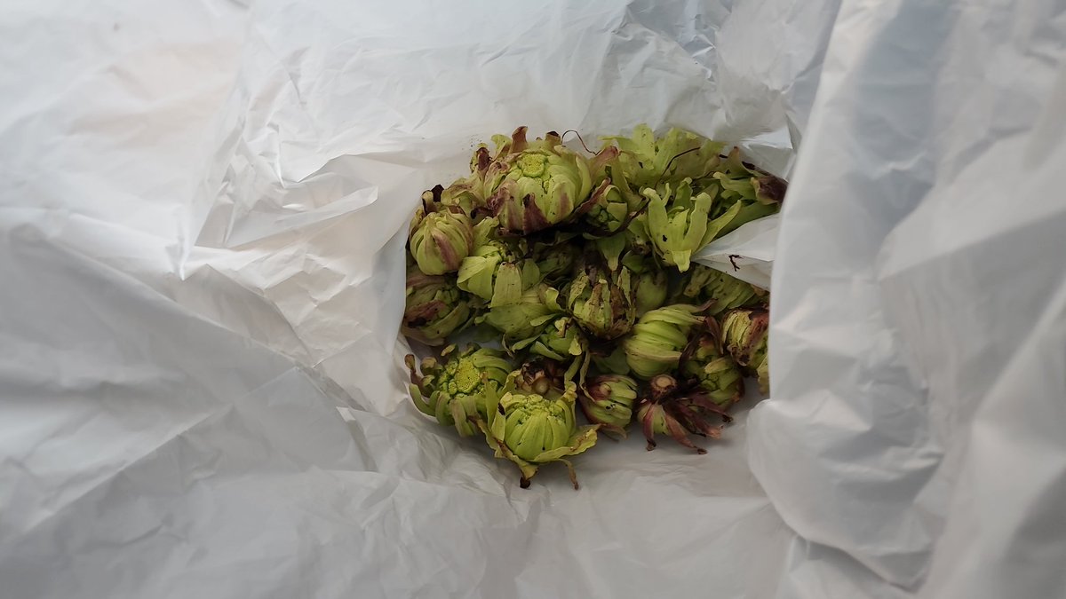 宮嵜　善文 tweet media