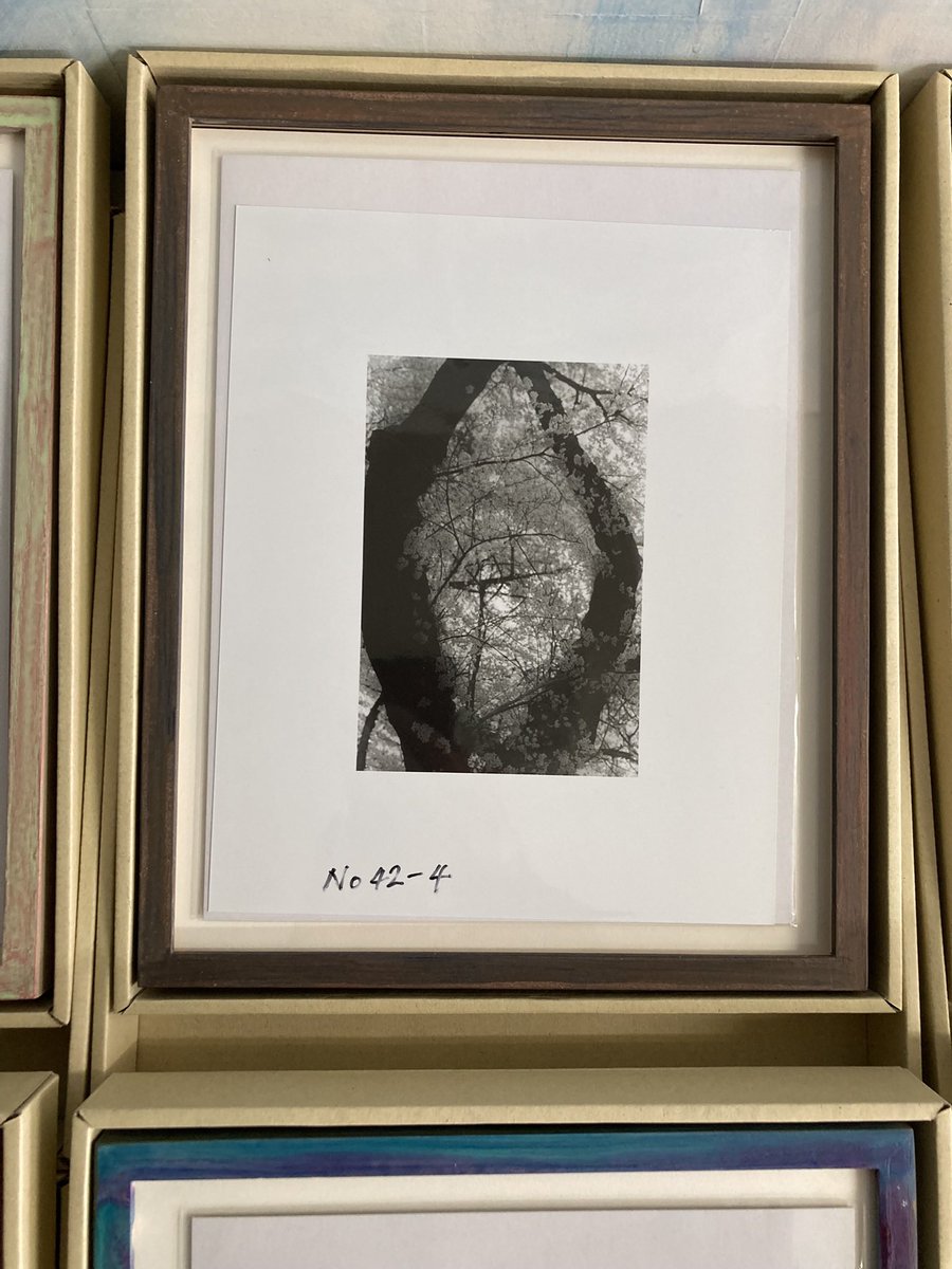 熊谷聖司 (@Kumagaii_seiji) / Posts / X