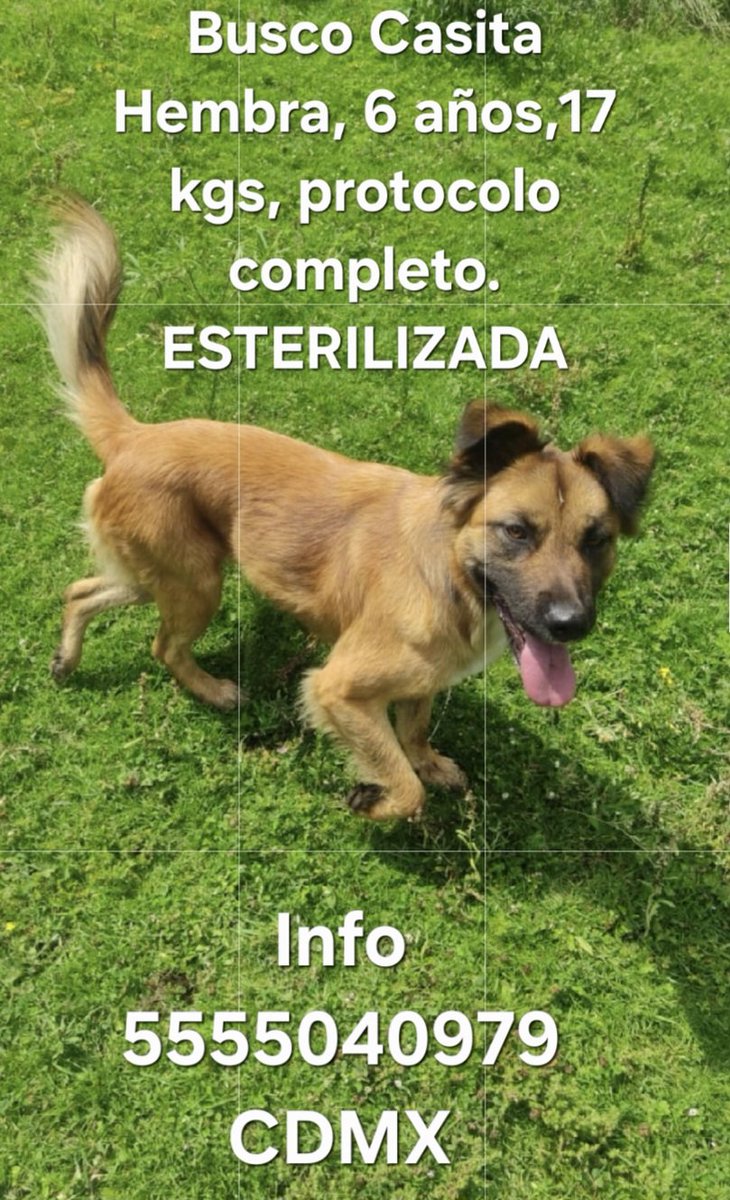 Josefina Martín tweet media