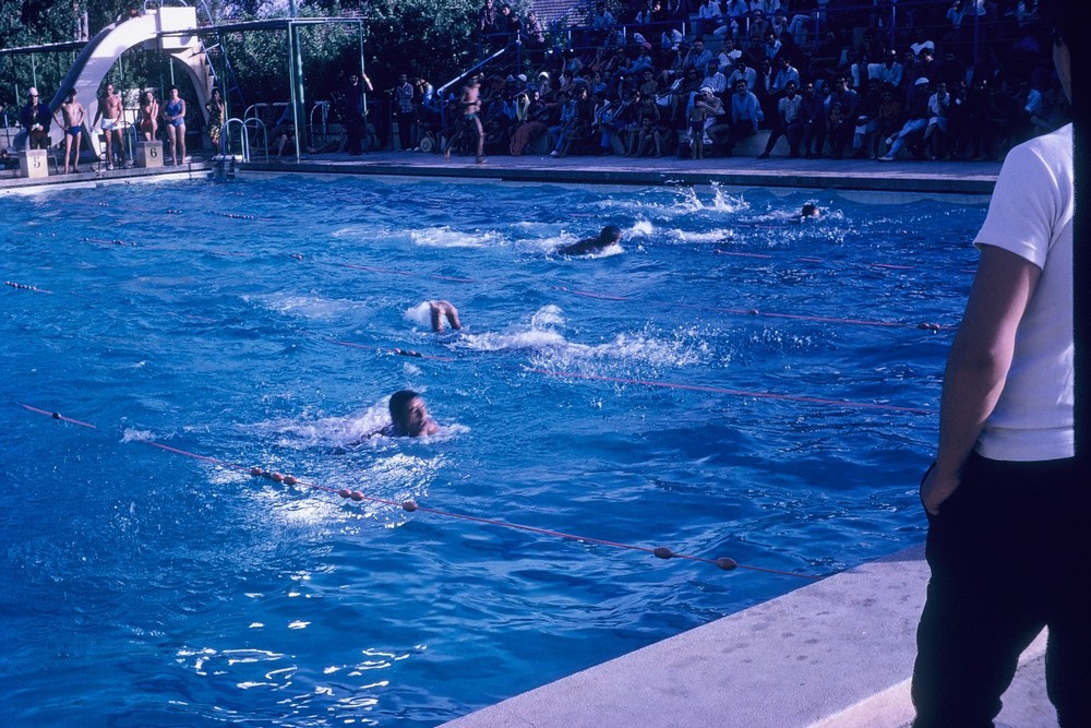 University of Hawaii at Hilo tweet media