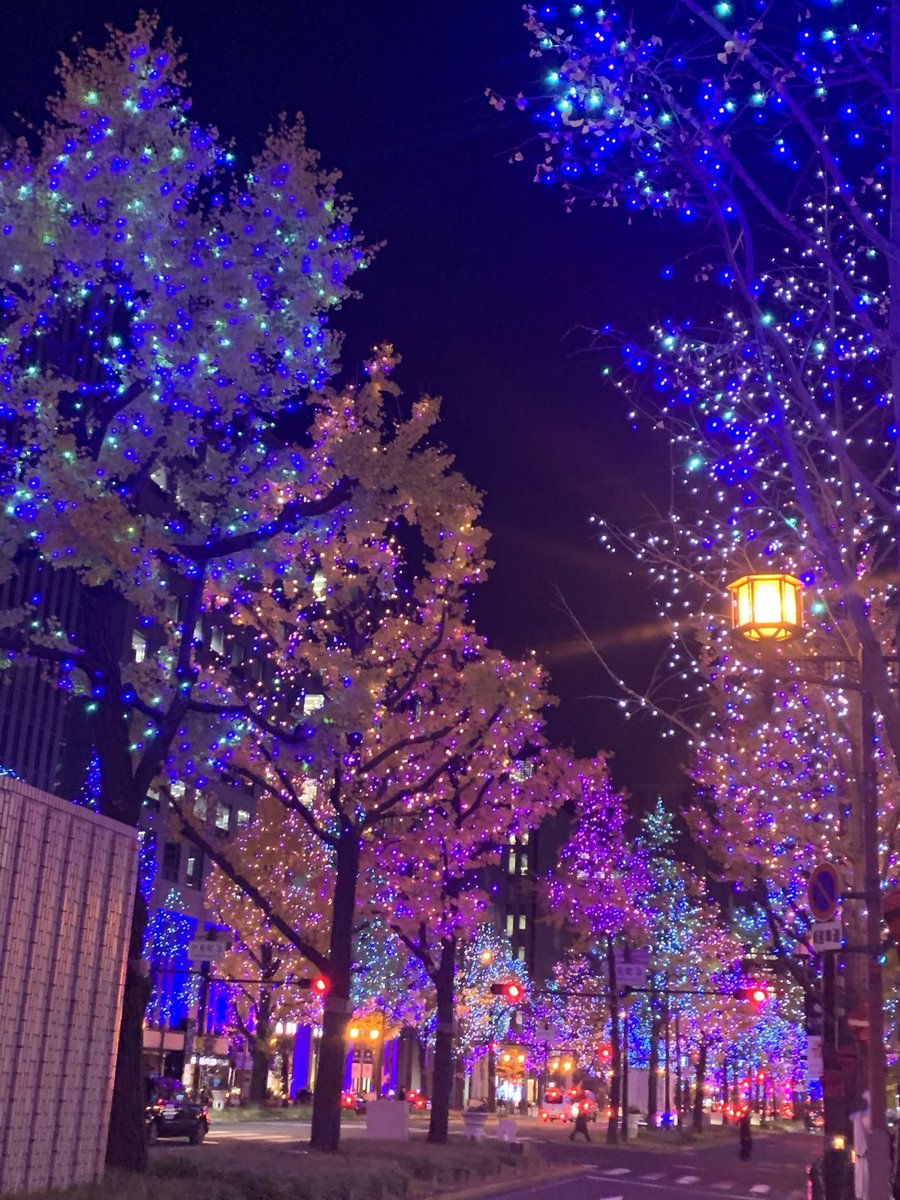 これ私が5年前の12月に撮った御堂筋イルミネーションですわ