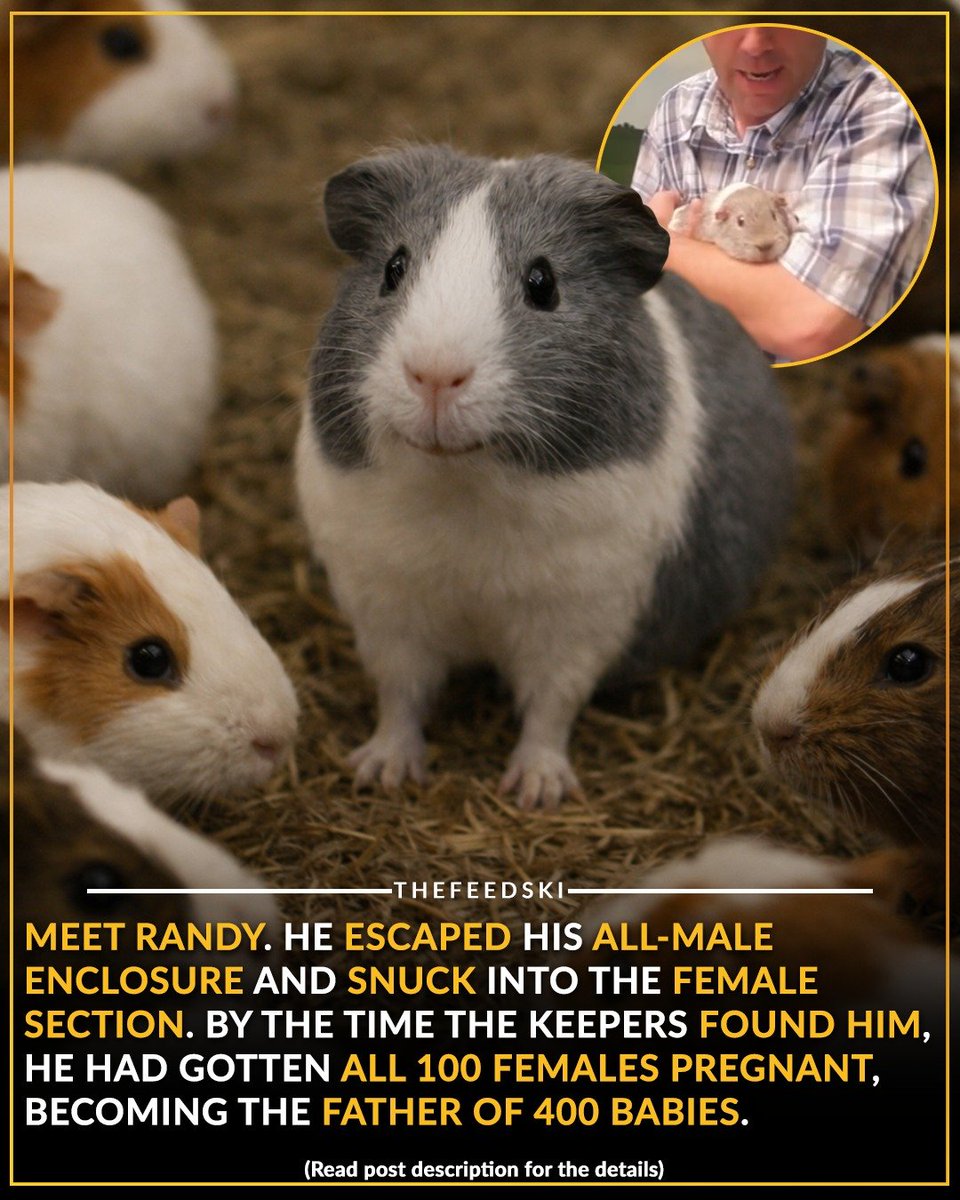 TraderJill (Leigh) tweet media