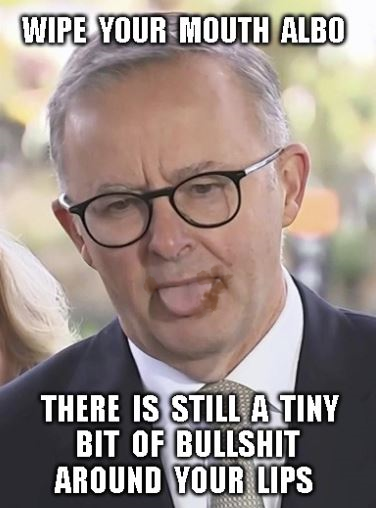 <a href="/AlboMP/">Anthony Albanese</a> Hey Albanese – please wipe your mouth when spreading your bullshit.