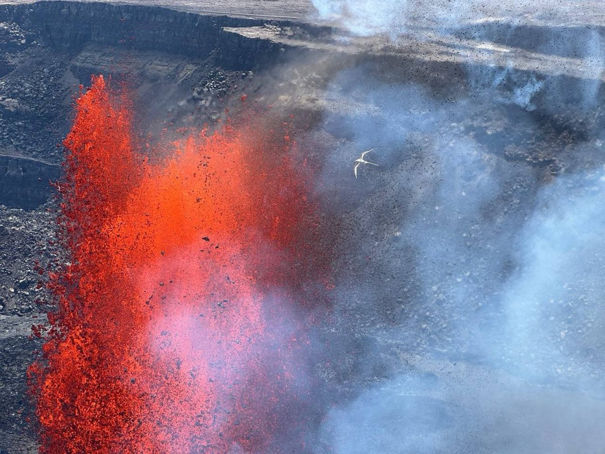 CryptoCapt tweet media