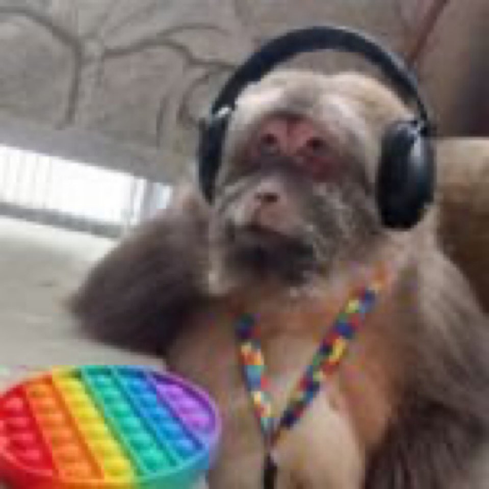 𝒍𝒂𝒊𝒐𝒔 🌾 tweet media