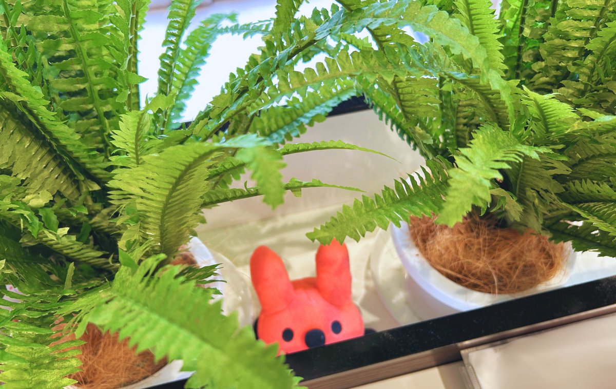 ラビット【公式】中古車買取・販売 tweet media