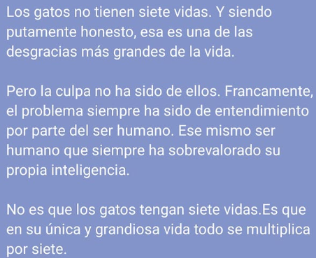 frankcrisstein's tweet photo. Hoy se fue el rey de esta casa.
El puto gris.
El baby.
El que era el puto amo de todo.

Buen viaje, Quibs.
Gracias por multiplicarlo todo por siete. https://t.co/EK2ZnOCzZn