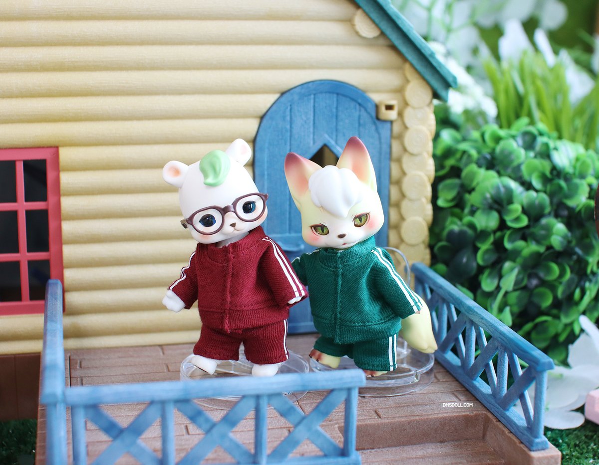 디엠에스돌 tweet media