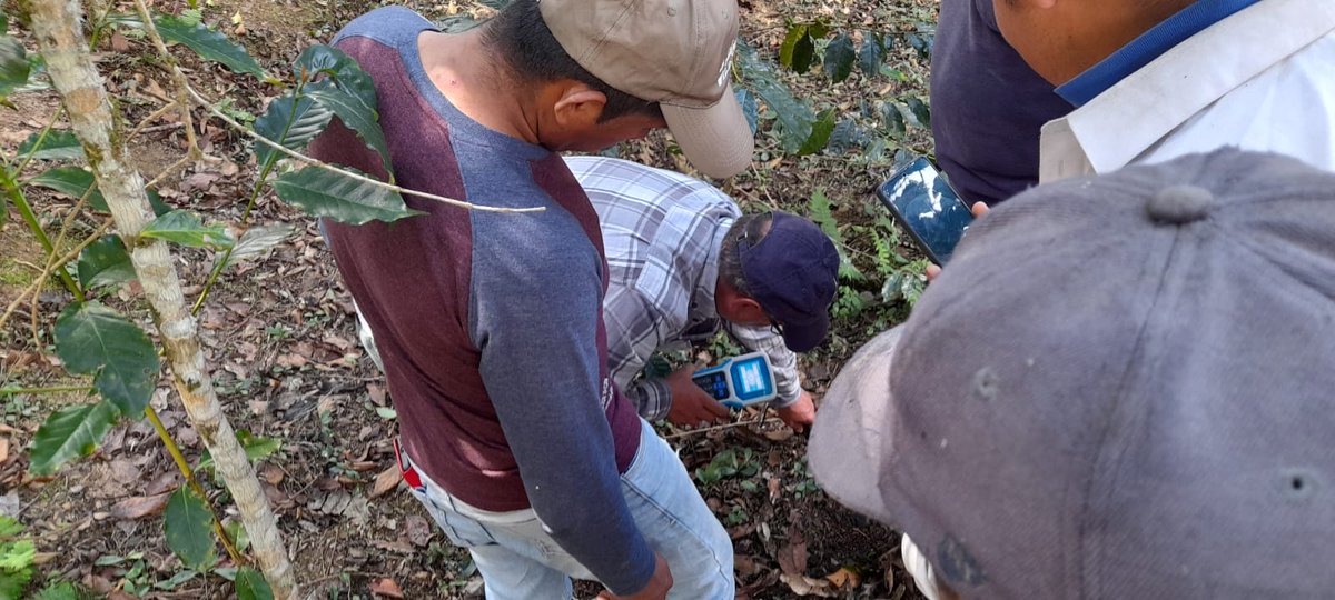 Armando David Vargas Luza tweet media