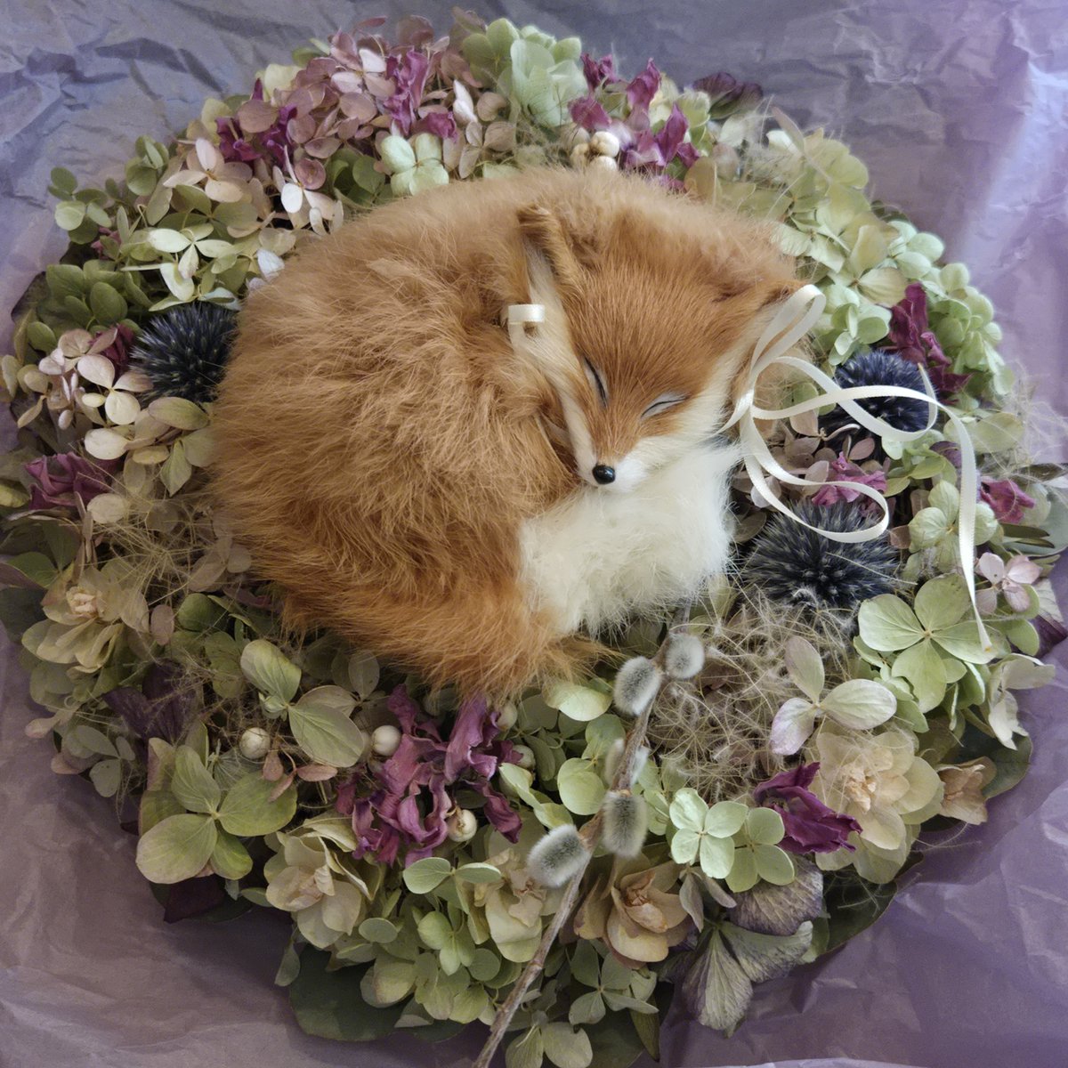 母狐から春のリースのプレゼントが届きました🦊💤ふかふか