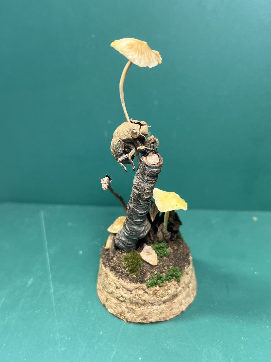 Fun Model tweet media