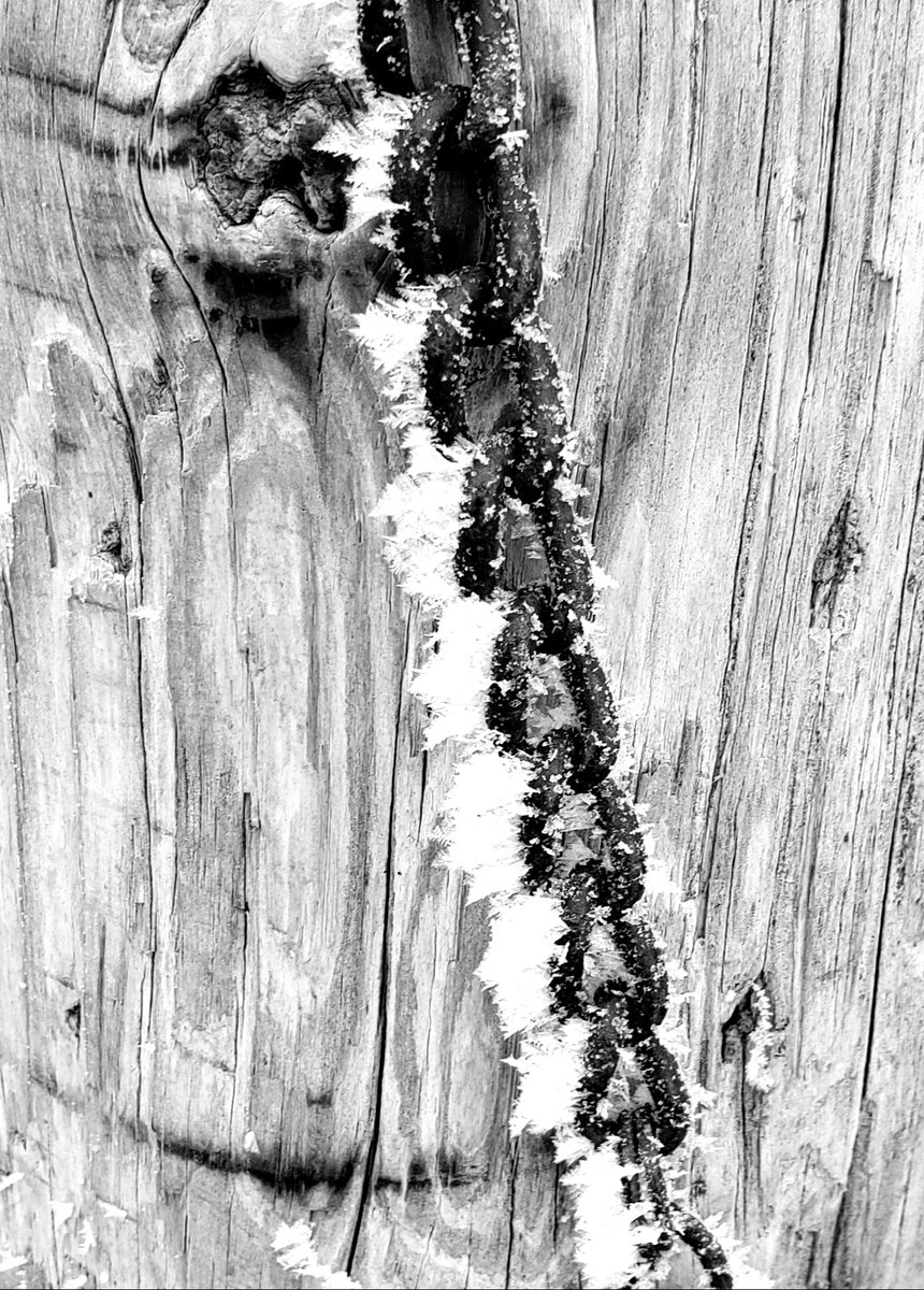 Barbara Cooksley tweet media