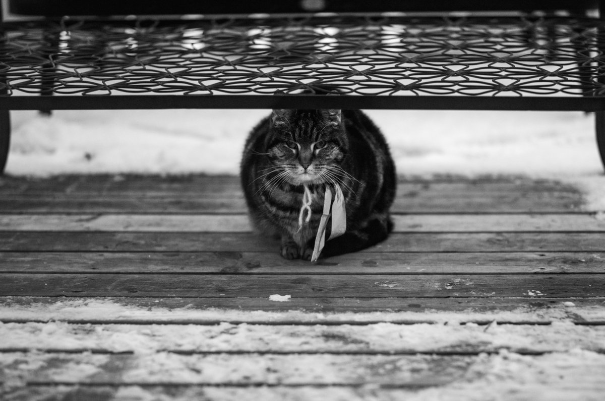 Simon "King of Bokeh" Diamond tweet media