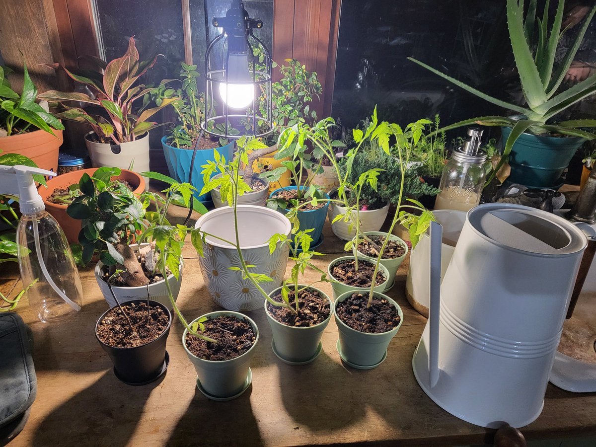 Rural Investor tweet media