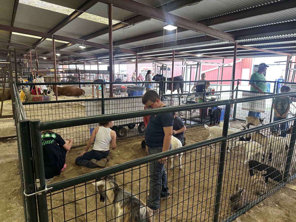 Stephaine Camarillo tweet media