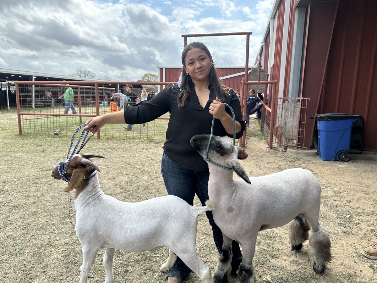 Stephaine Camarillo tweet media