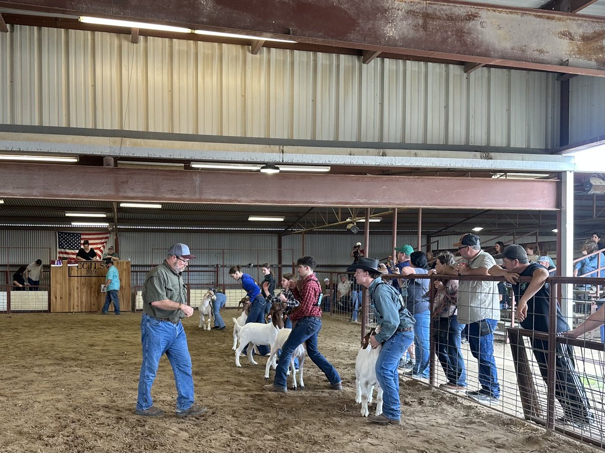 Stephaine Camarillo tweet media