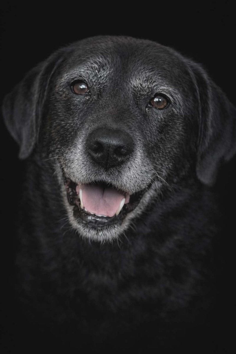 Albertagirl62 tweet media