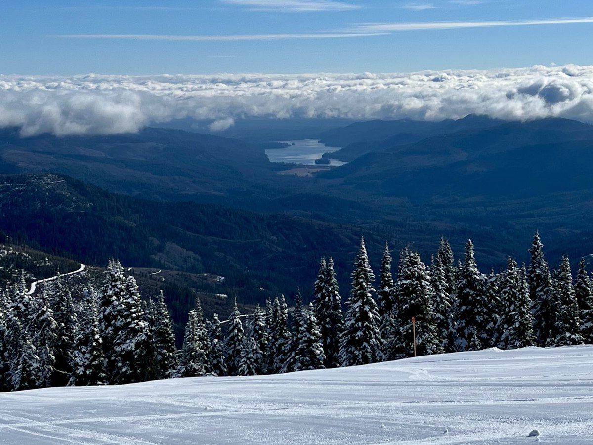 Don Pawluk tweet media