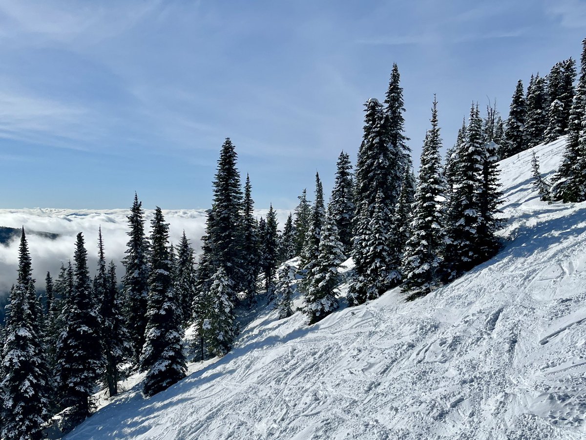 Don Pawluk tweet media