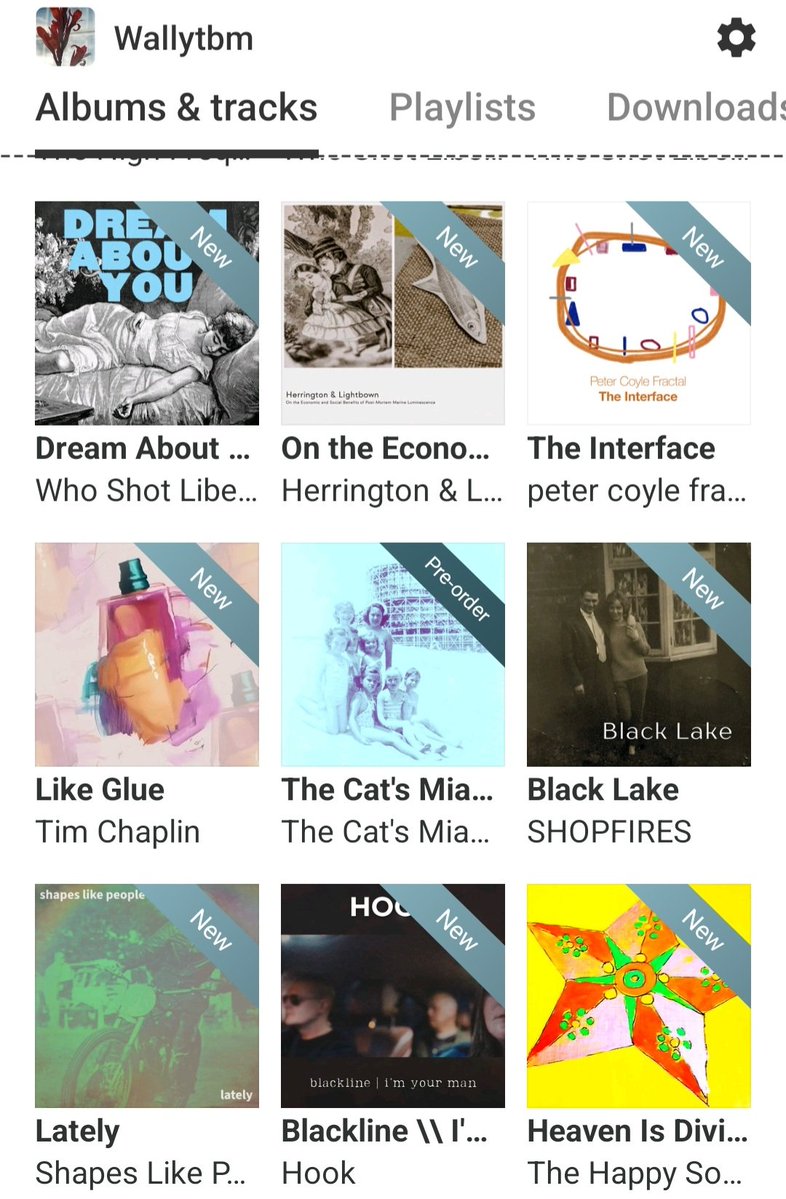 WallyTBM tweet media