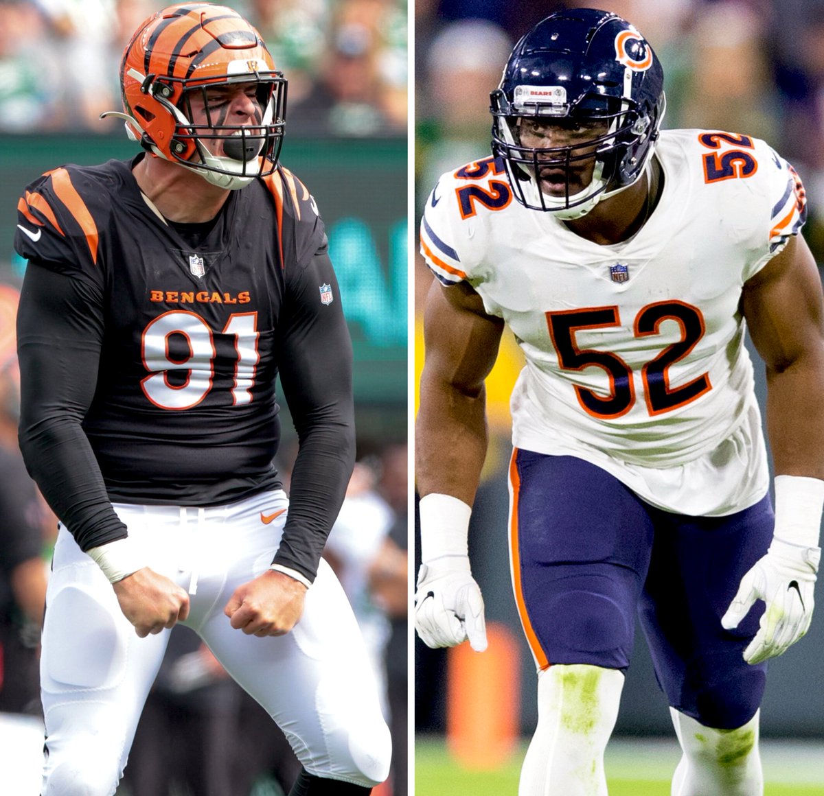 Bearsszn tweet media