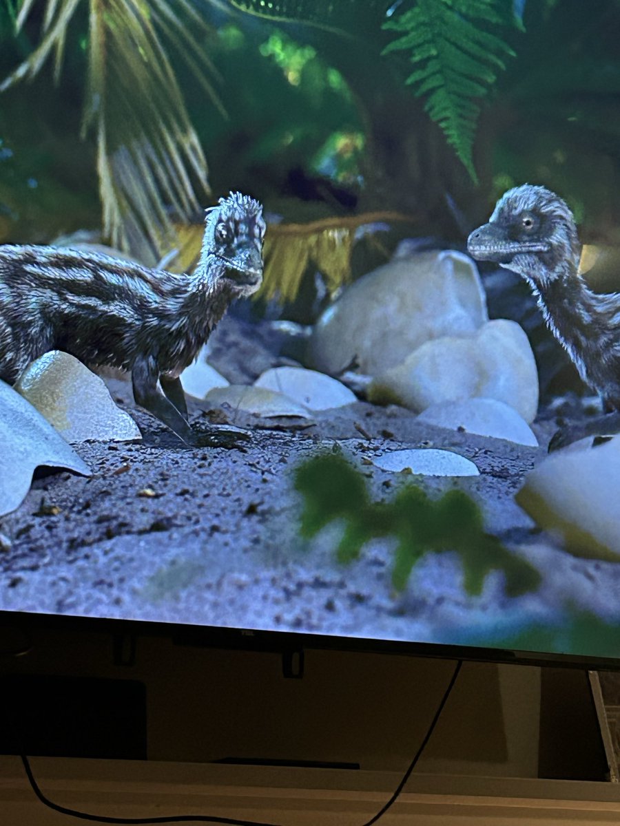 AndySlaps tweet media