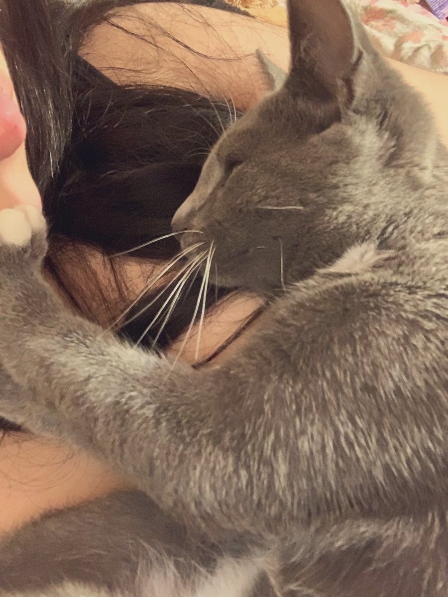 L11cw's tweet photo. #عشوائيات https://t.co/HWqC6uIiNr