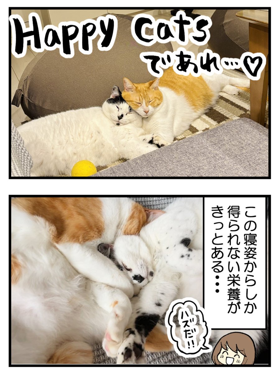 (3/3) 
