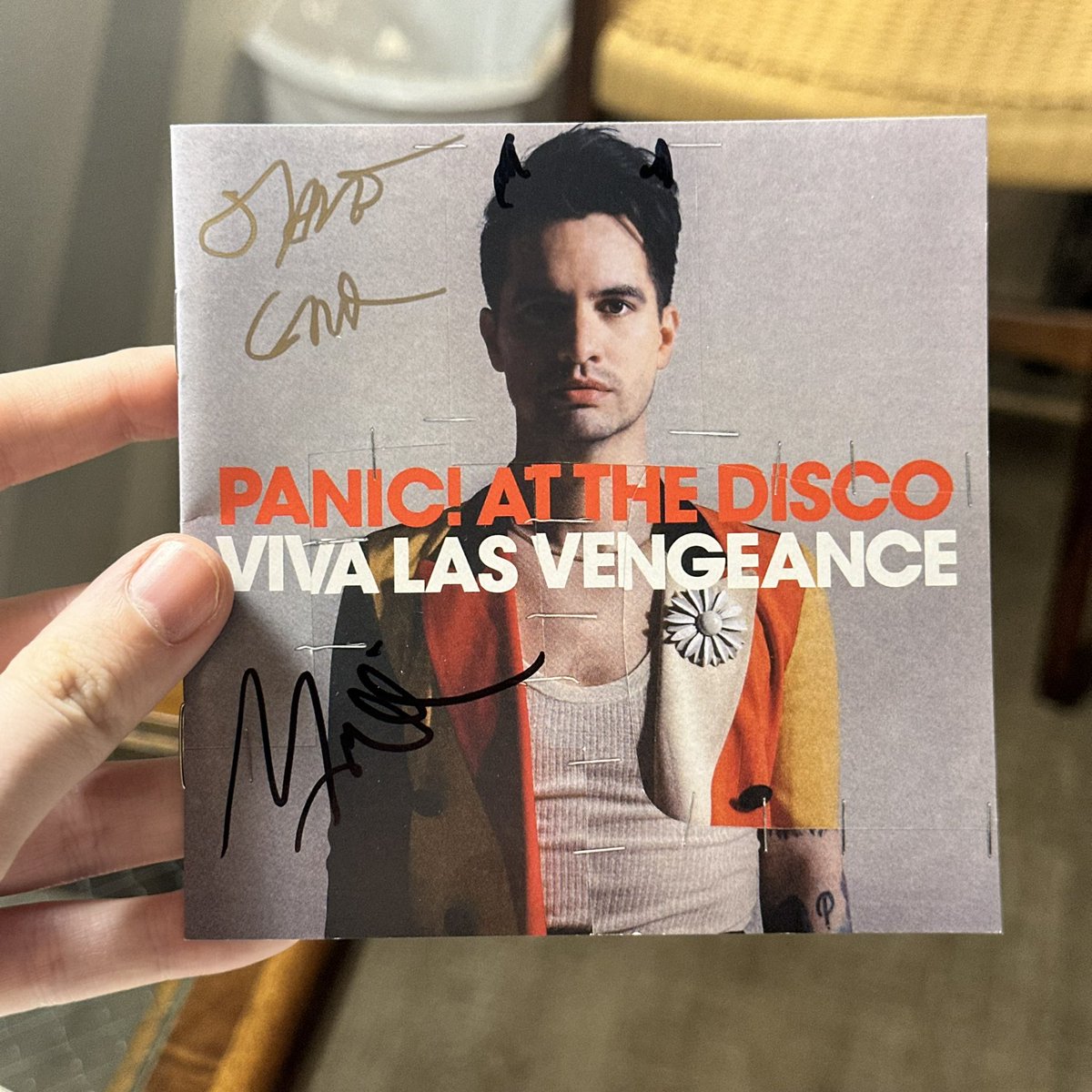 kaitlyn ❕ tweet media