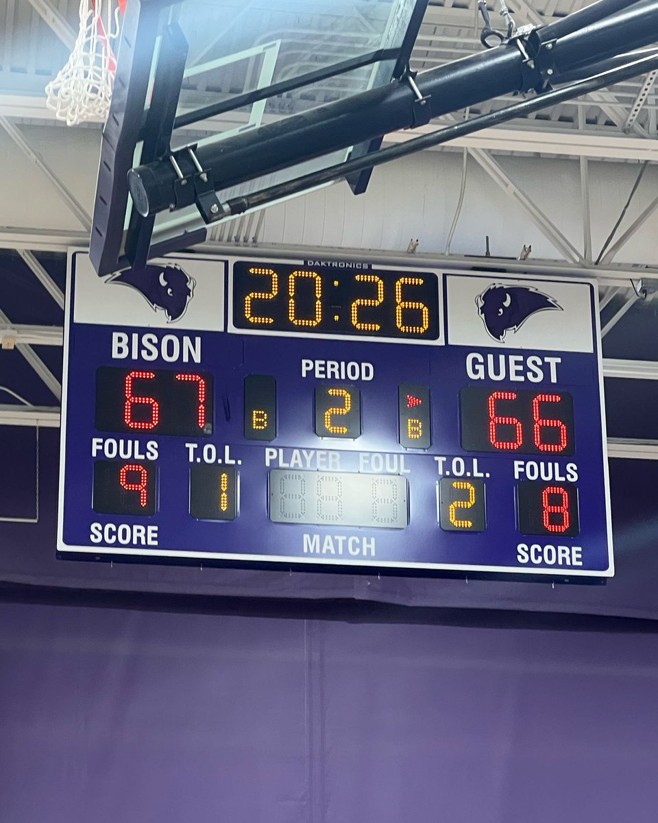 Buffalo Bison tweet media