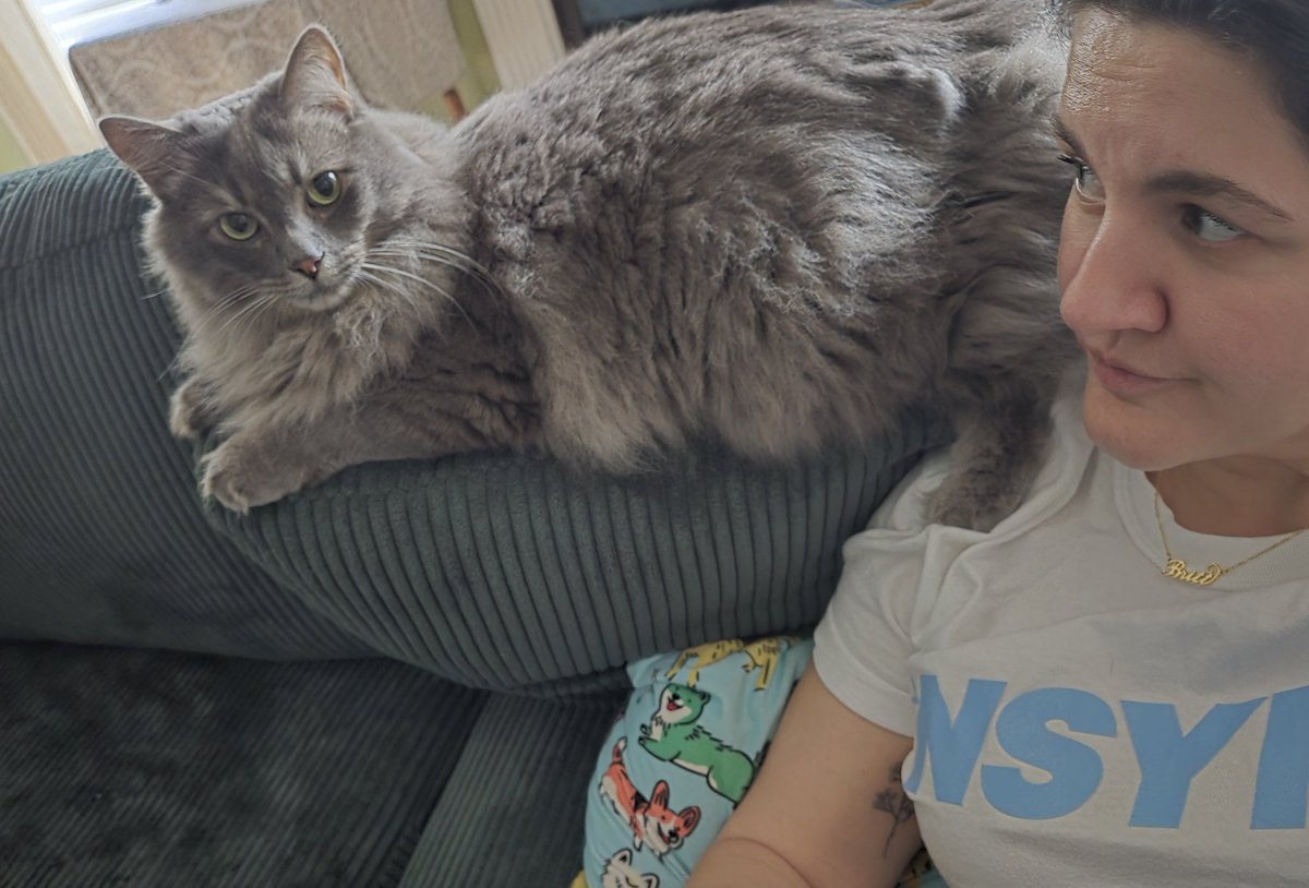 Brittany Bierman tweet media