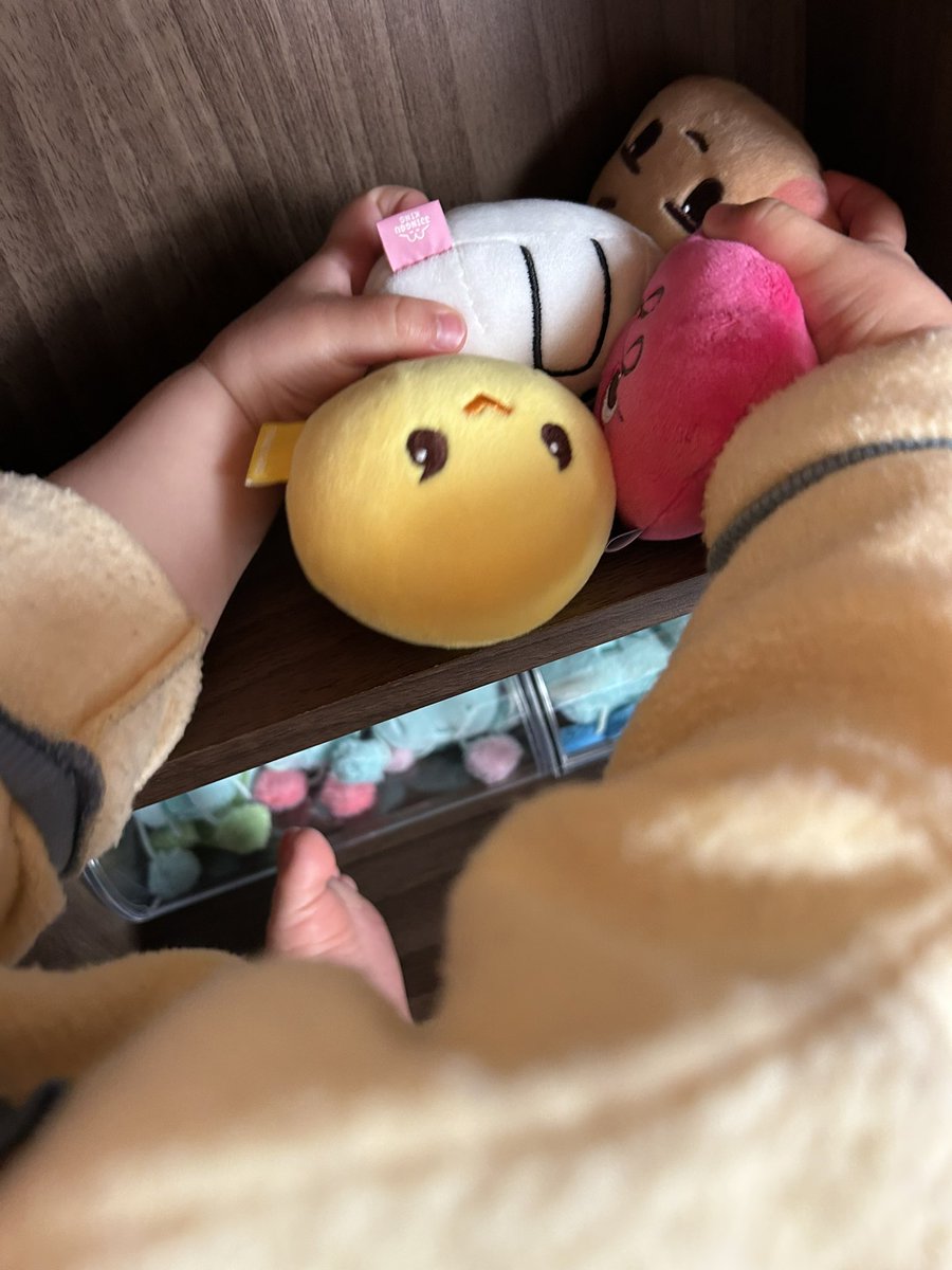 dkdikd_aya's tweet photo. とうとう捕まってしまった…
予備はない… https://t.co/dtkMHUxWEk